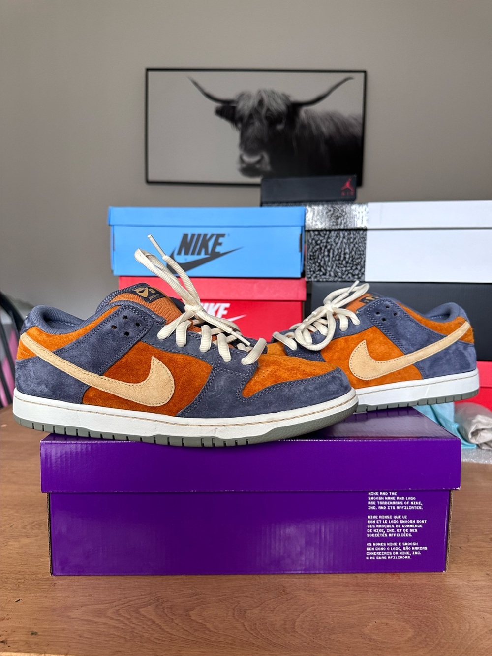 Nike SB Dunk Low Pro- Light Carbon Monarch (Size 11M)